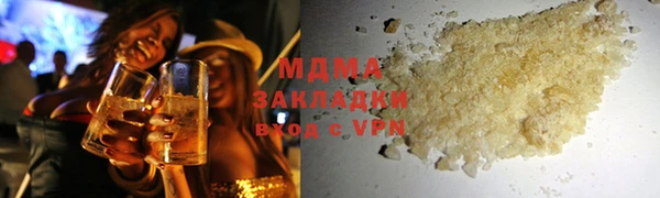 индика Новодвинск