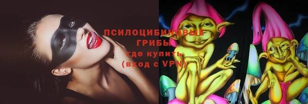 прущие крисы Новозыбков