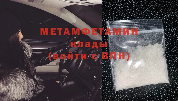 индика Новодвинск