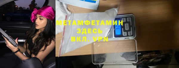 индика Новодвинск