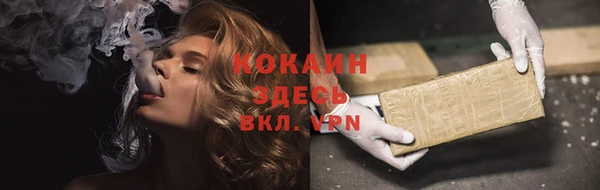 индика Новодвинск