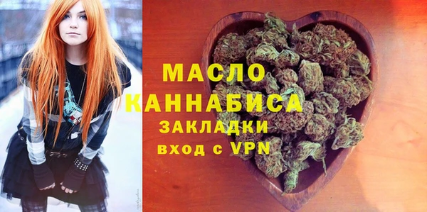 индика Новодвинск