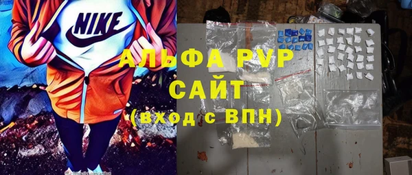 индика Новодвинск