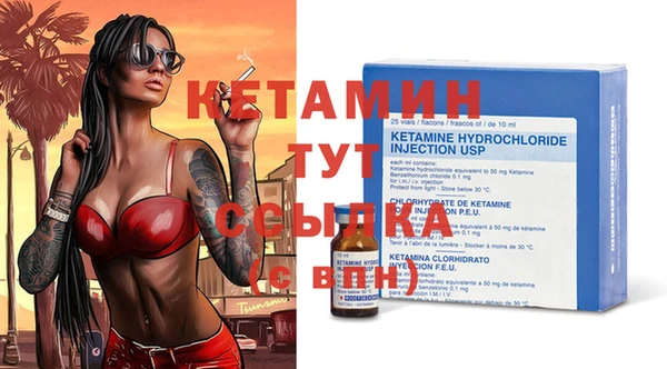 индика Новодвинск