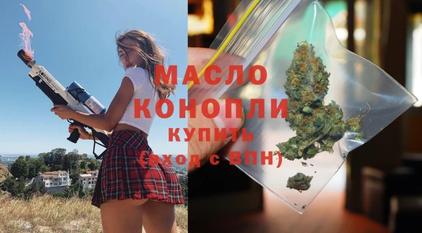 индика Новодвинск