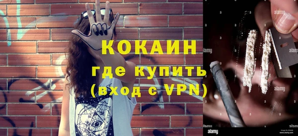 индика Новодвинск