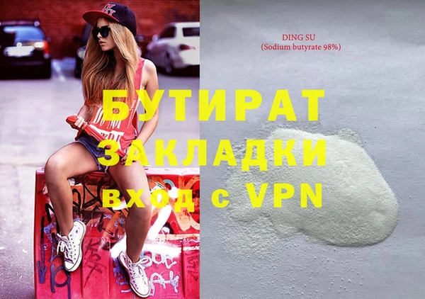 индика Новодвинск