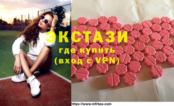 индика Новодвинск