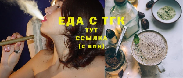 индика Новодвинск