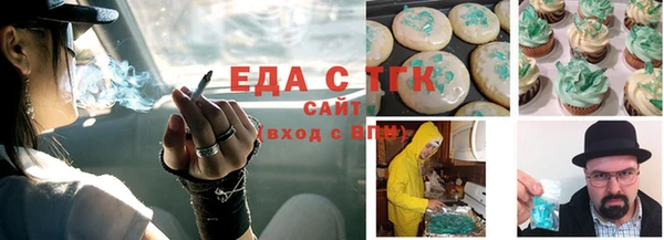 индика Новодвинск