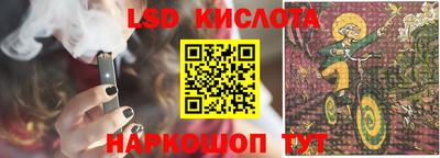 стаф Гай
