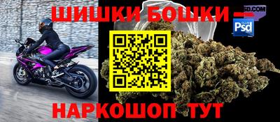 стаф Гай