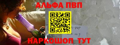 стаф Гай