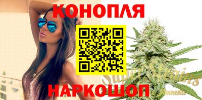 стаф Гай
