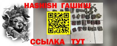 стаф Гай