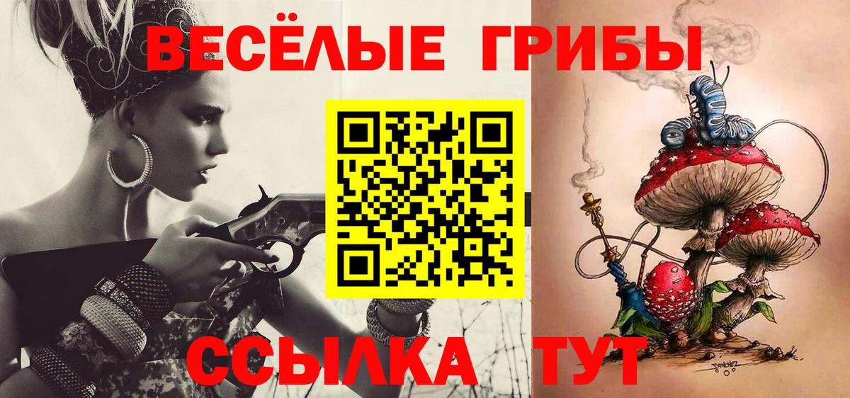 Псилоцибиновые грибы GOLDEN TEACHER  Зеленодольск  Галлюциногенные грибы MAGIC MUSHROOMS 